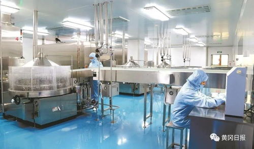 對(duì)標(biāo)先進(jìn) 破冰突圍 宜昌化工產(chǎn)業(yè)轉(zhuǎn)型升級(jí)的破局之路